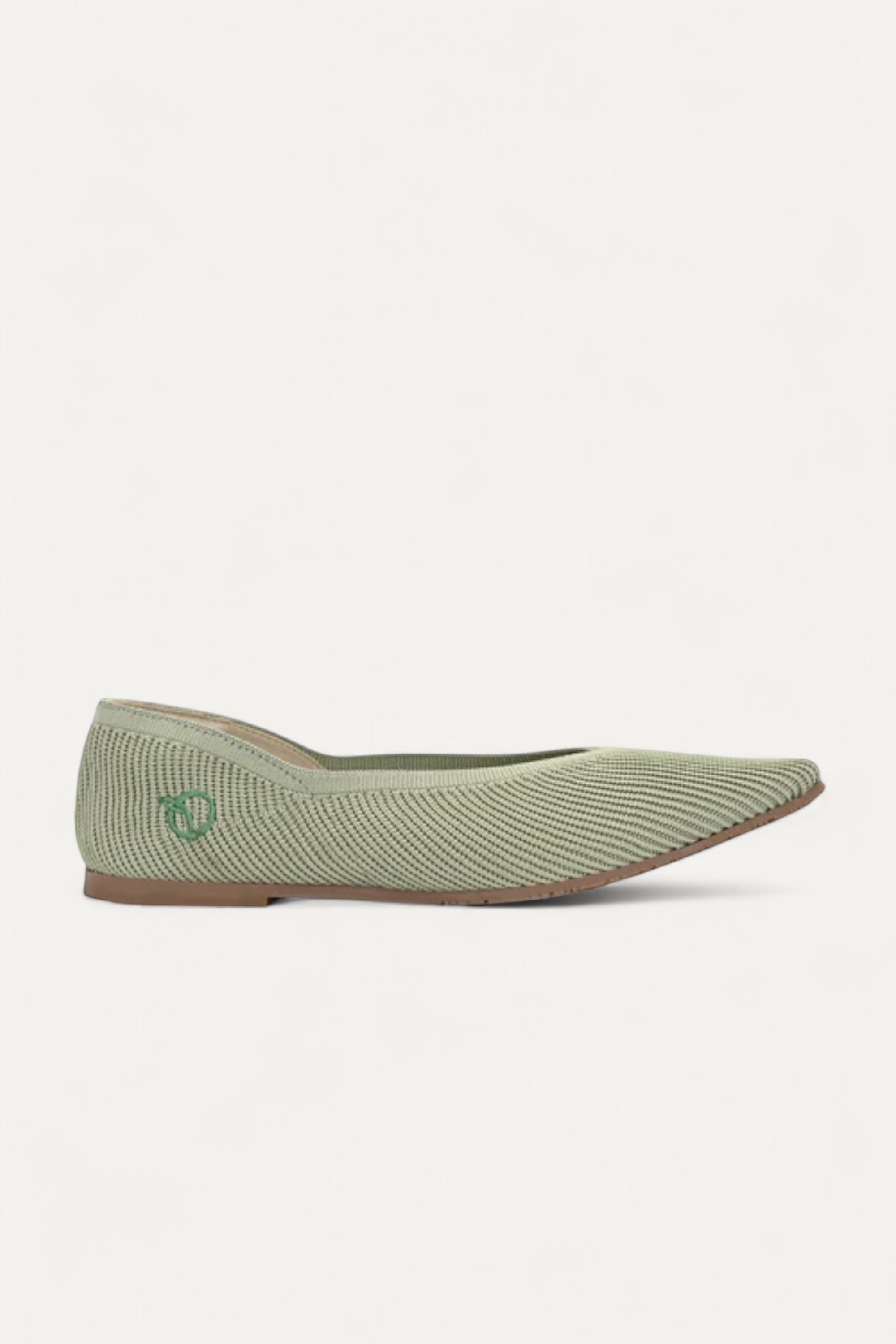 The Pointed Toe- Ballet Flats