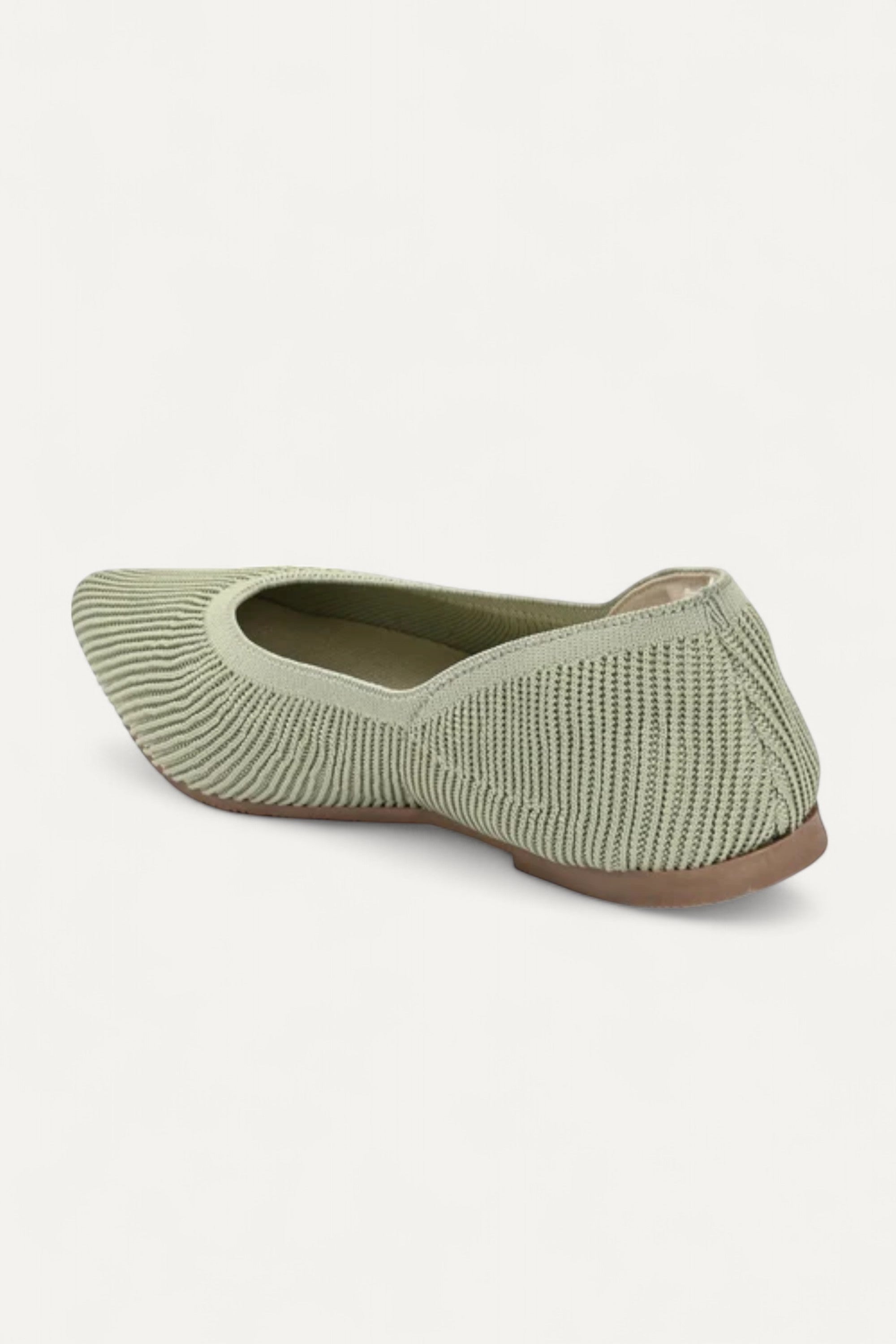 The Pointed Toe- Ballet Flats