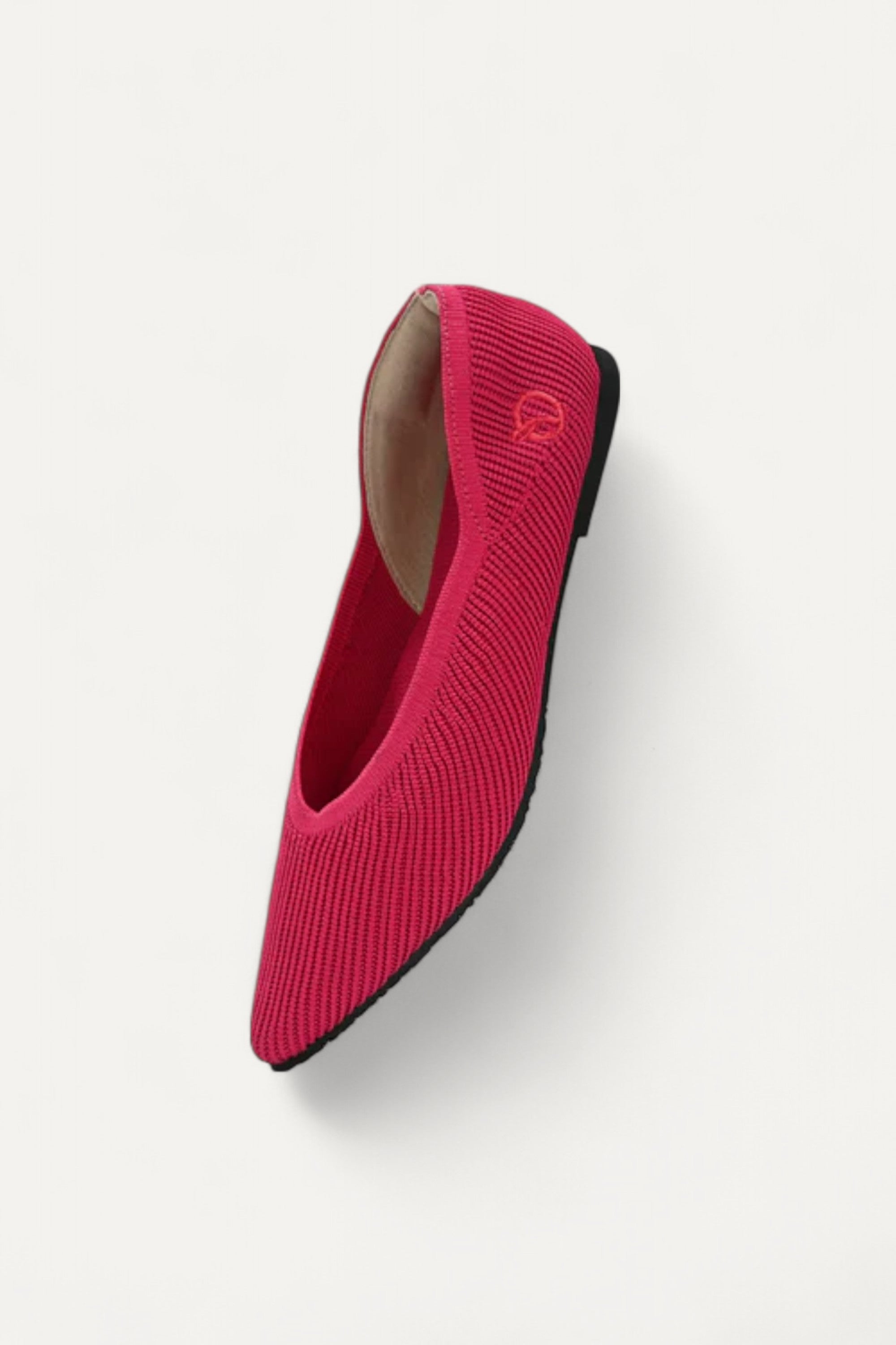 The Pointed Toe- Ballet Flats