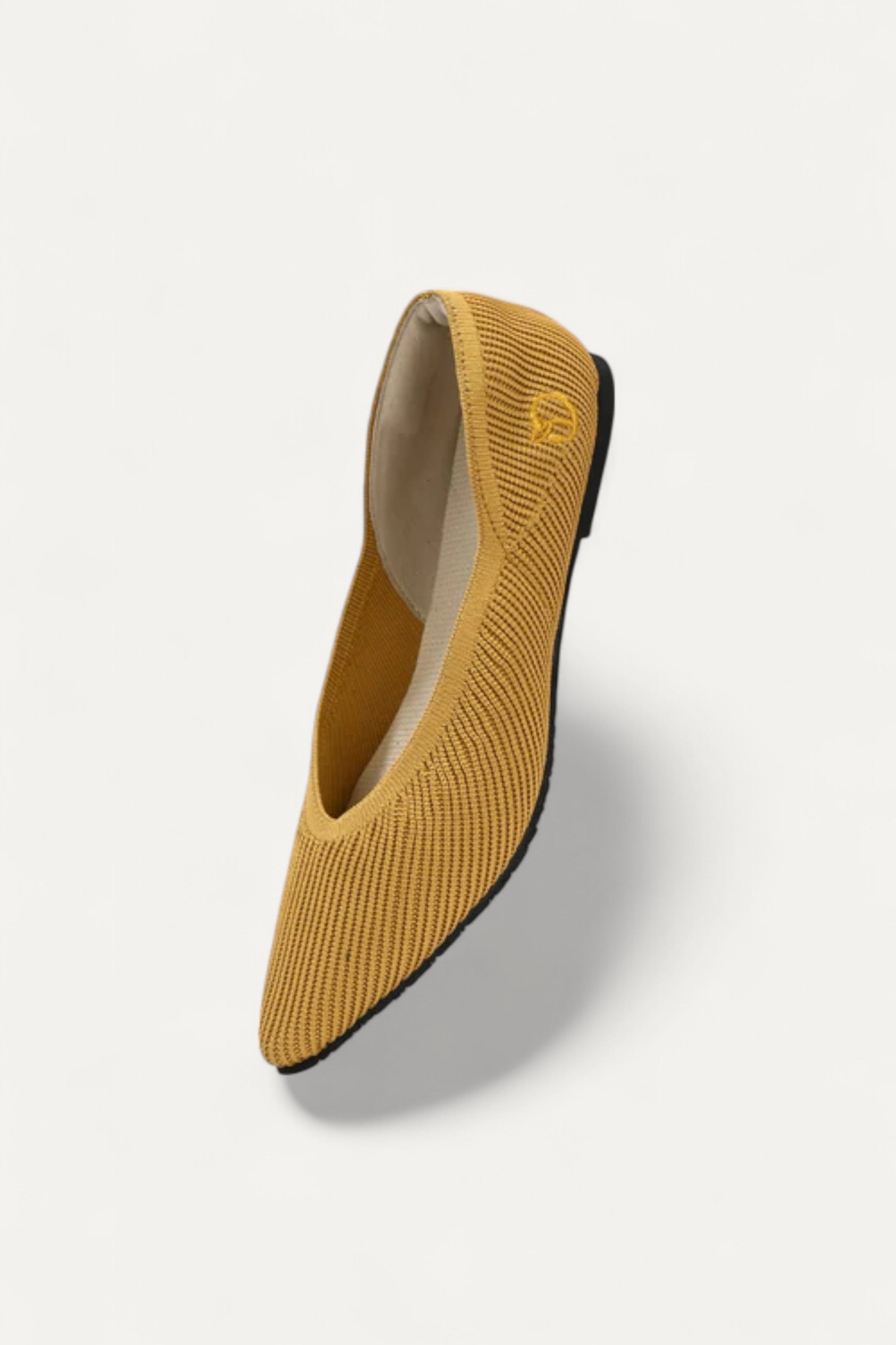The Pointed Toe- Ballet Flats