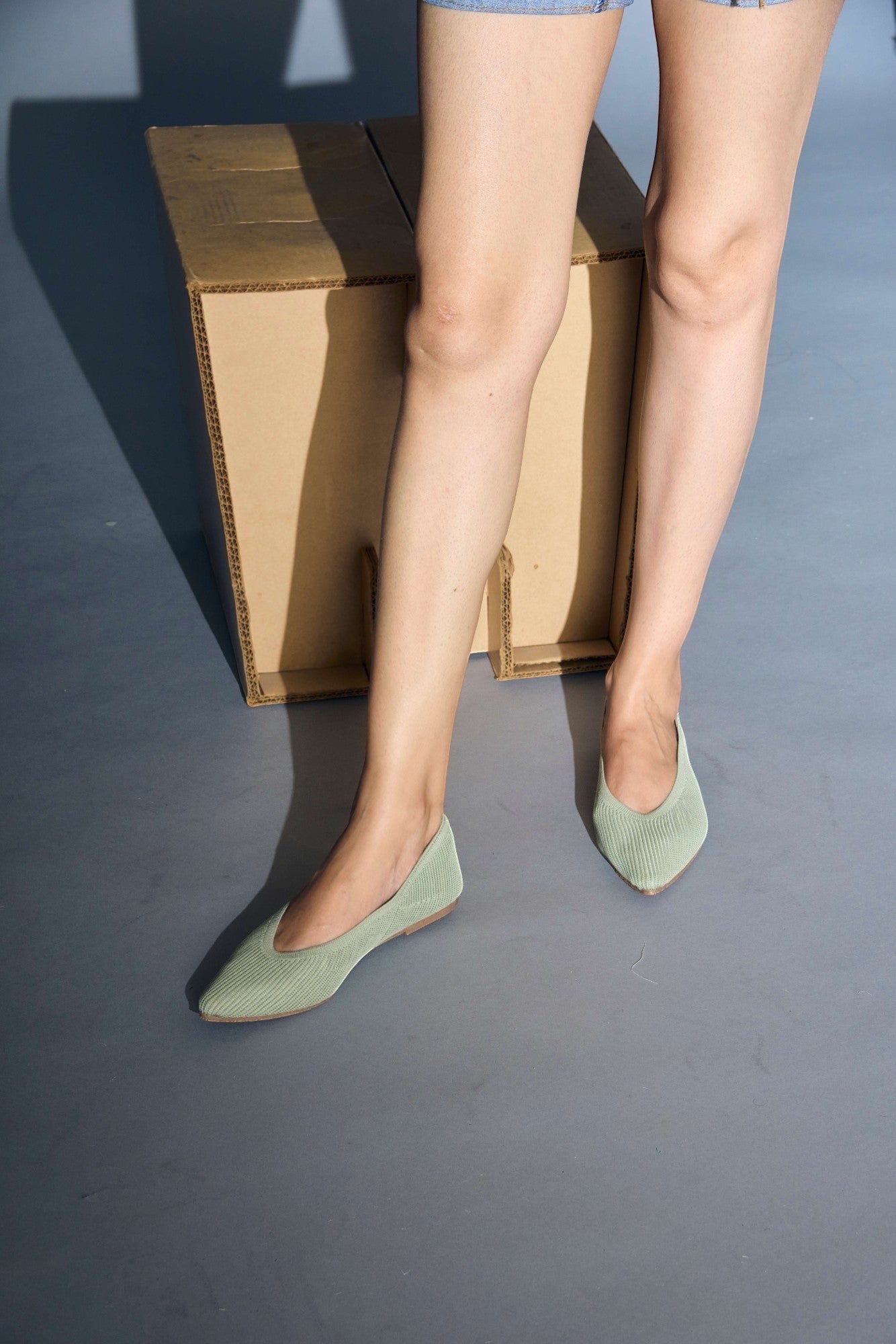 The Pointed Toe- Ballet Flats