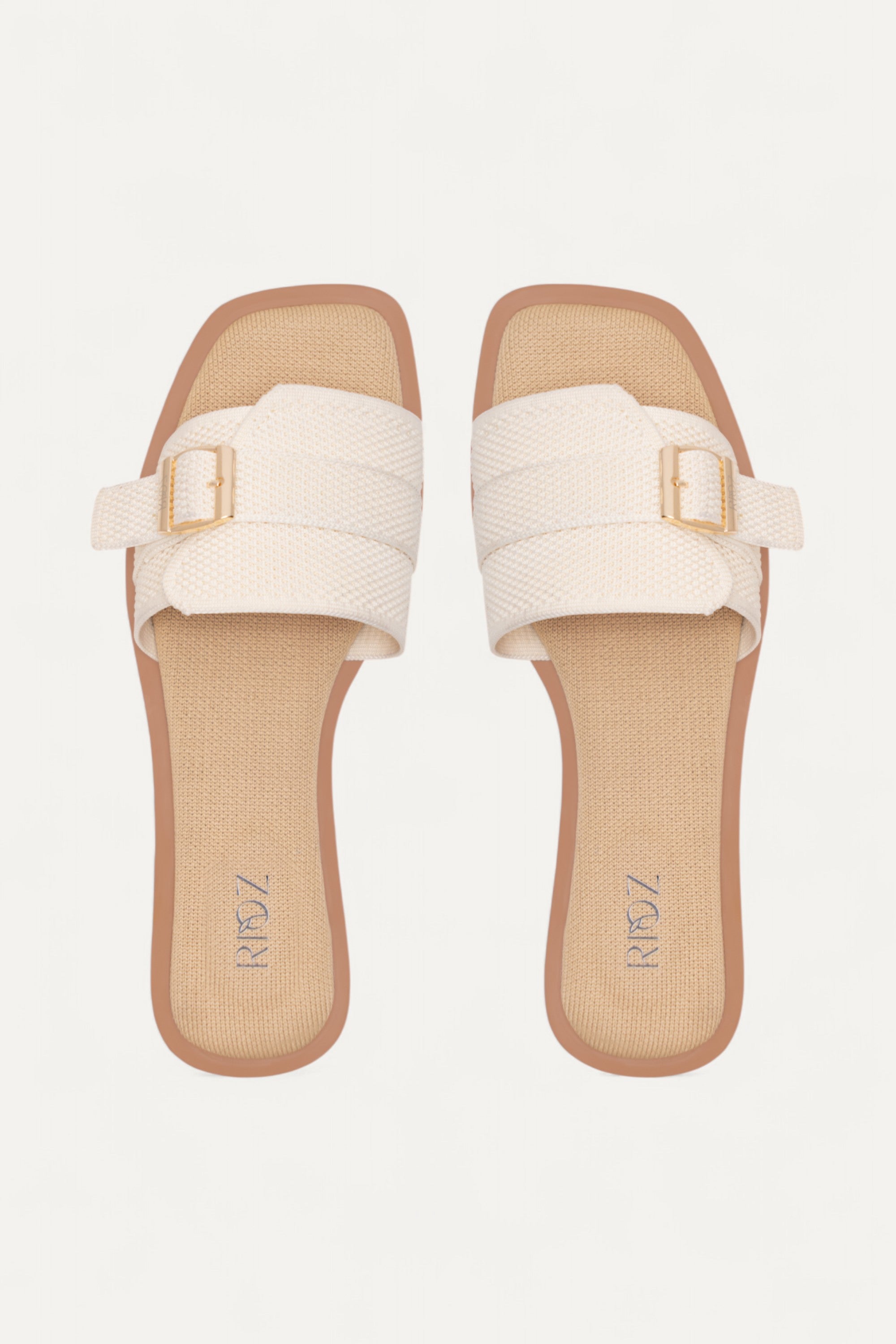 BuckleUp Slides