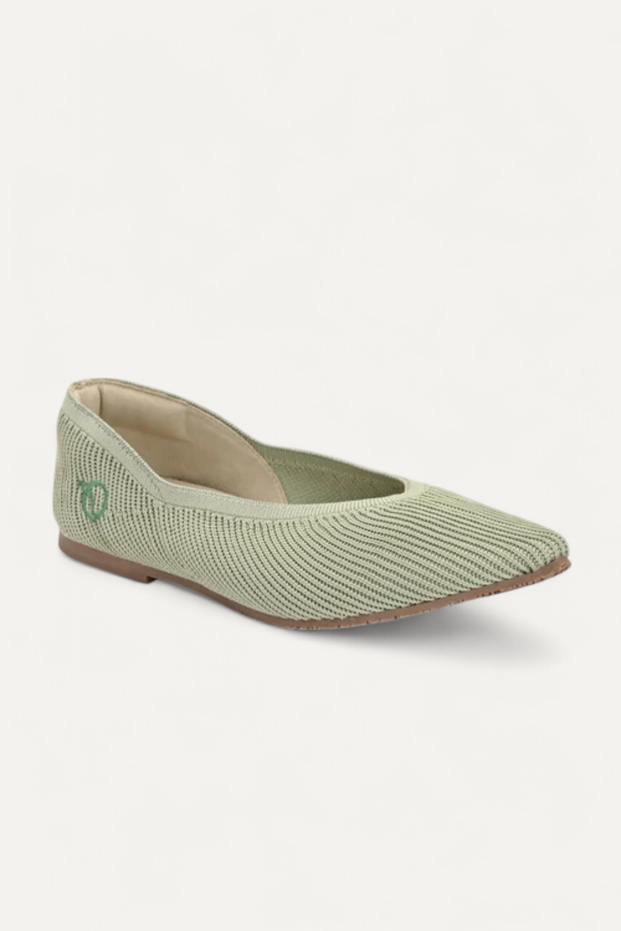 The Pointed Toe- Ballet Flats