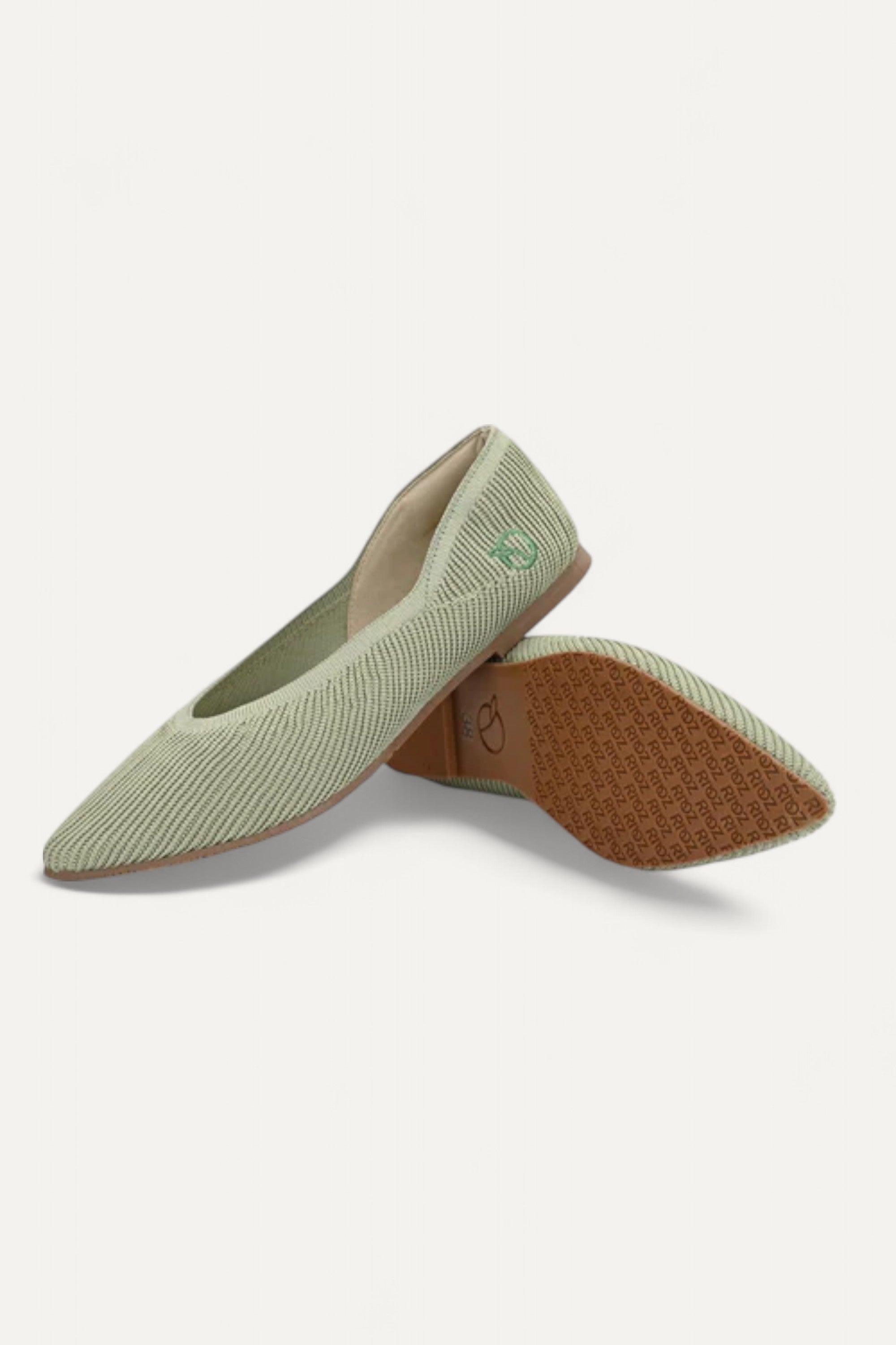 The Pointed Toe- Ballet Flats