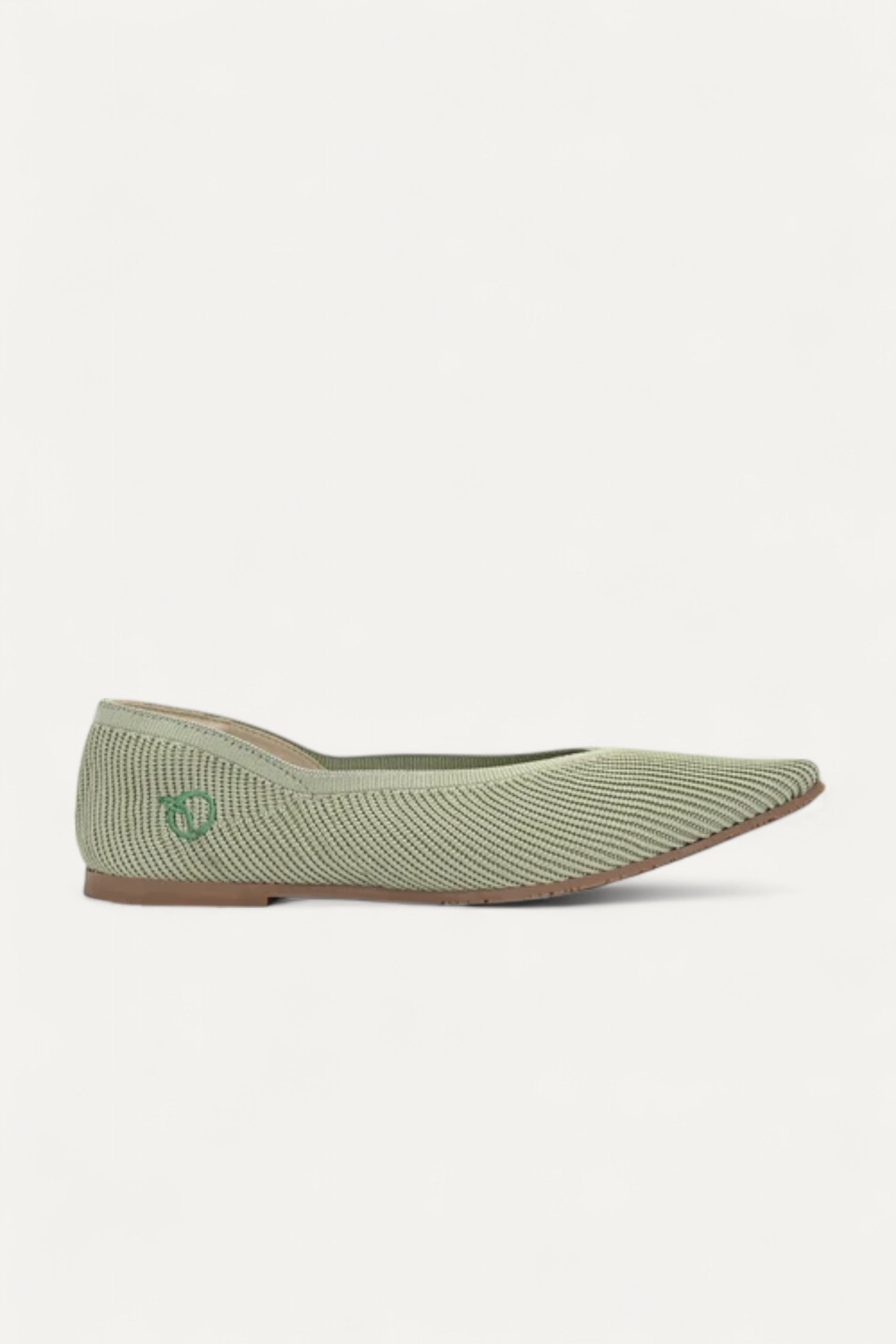 The Pointed Toe- Ballet Flats