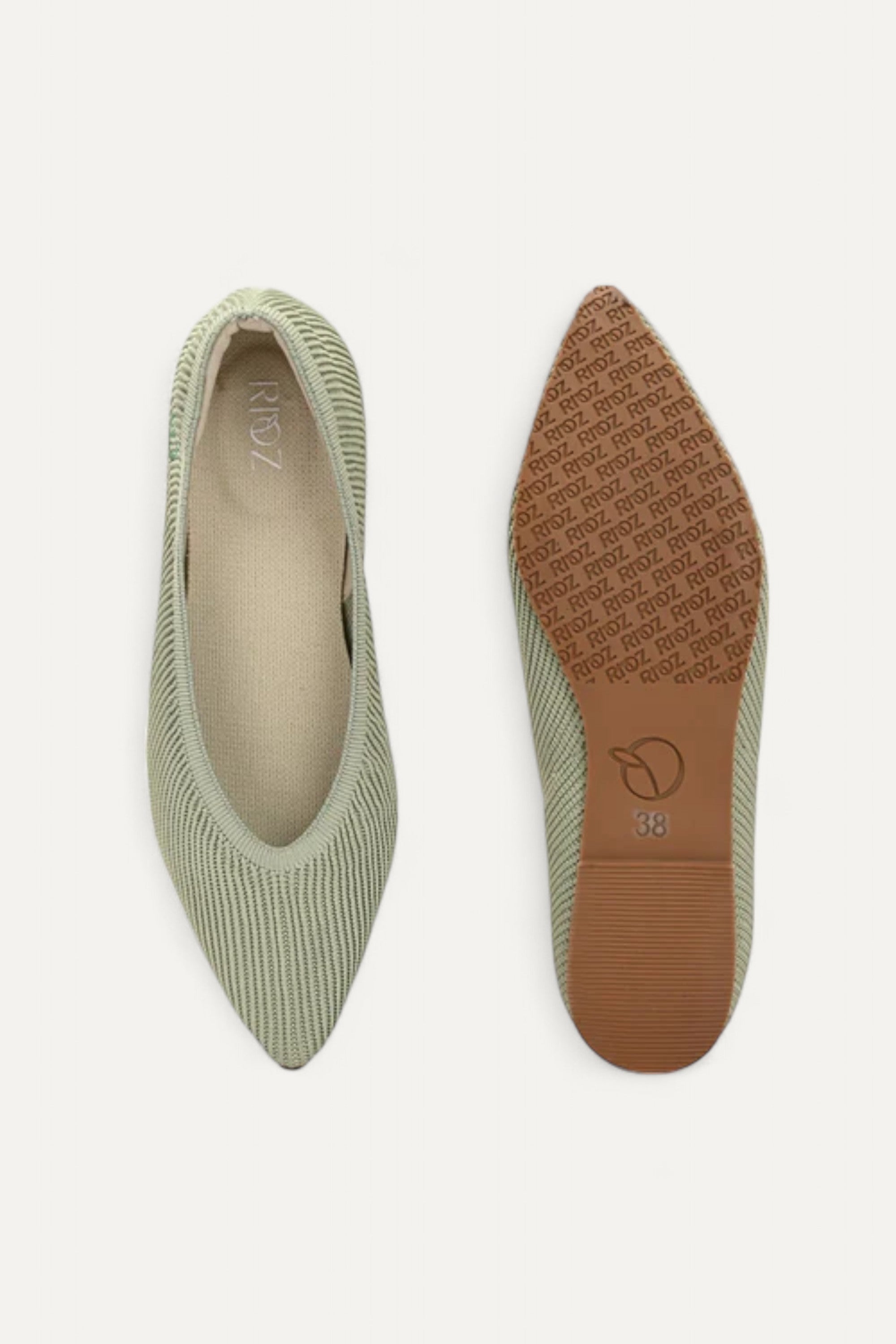 The Pointed Toe- Ballet Flats