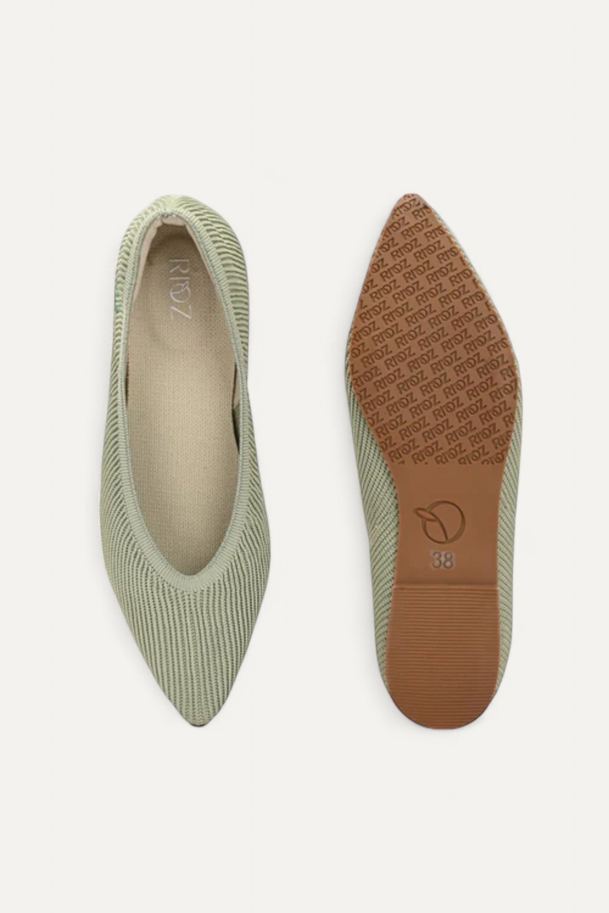 The Pointed Toe- Ballet Flats