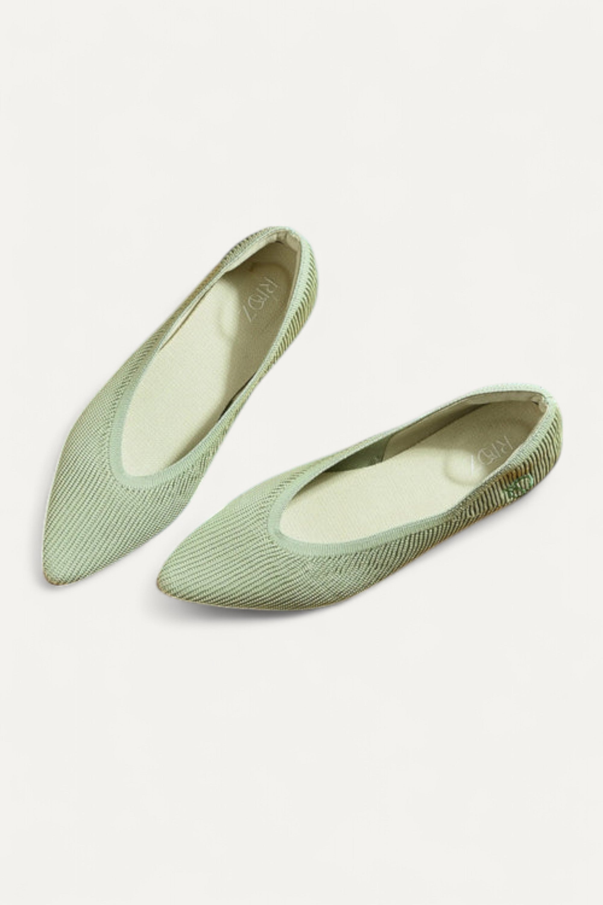 The Pointed Toe- Ballet Flats