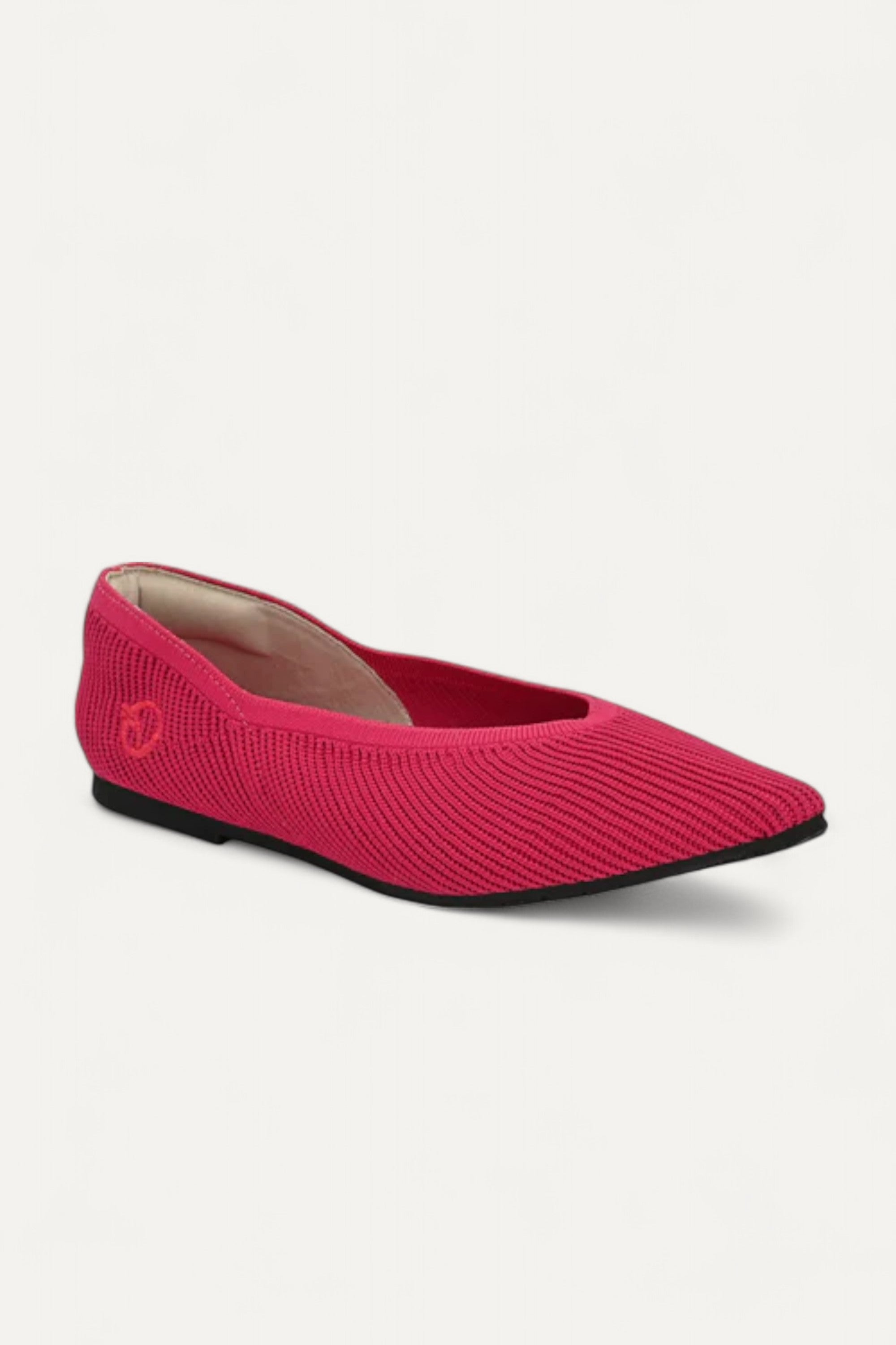 The Pointed Toe- Ballet Flats