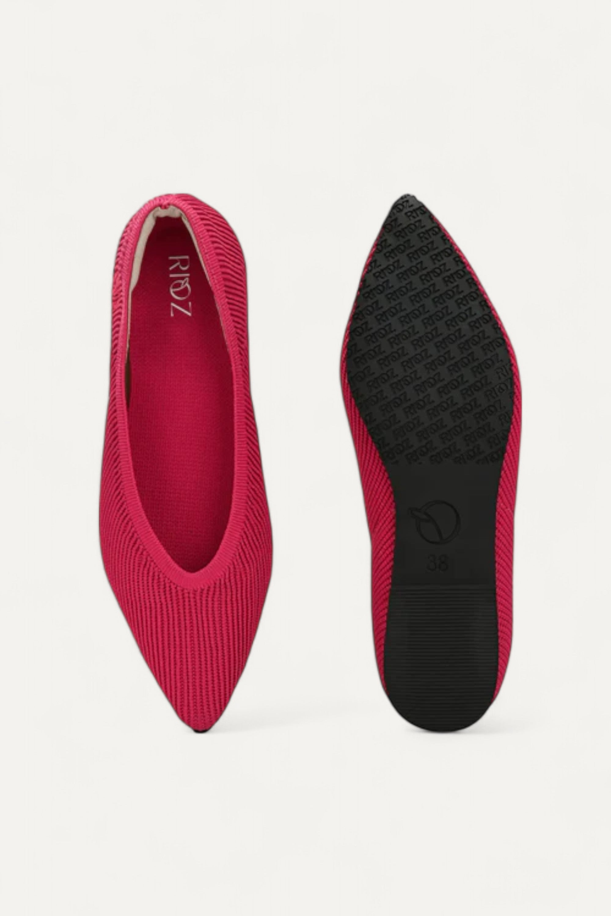 The Pointed Toe- Ballet Flats