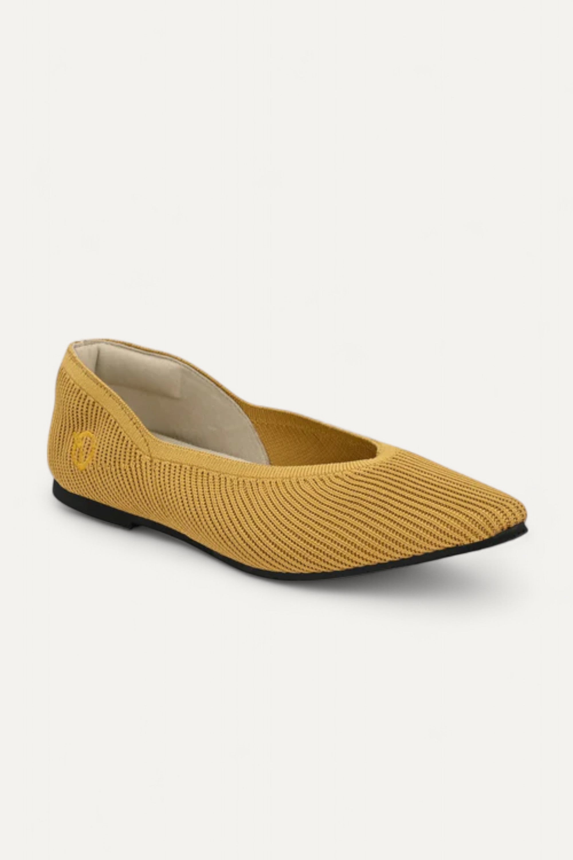 The Pointed Toe- Ballet Flats