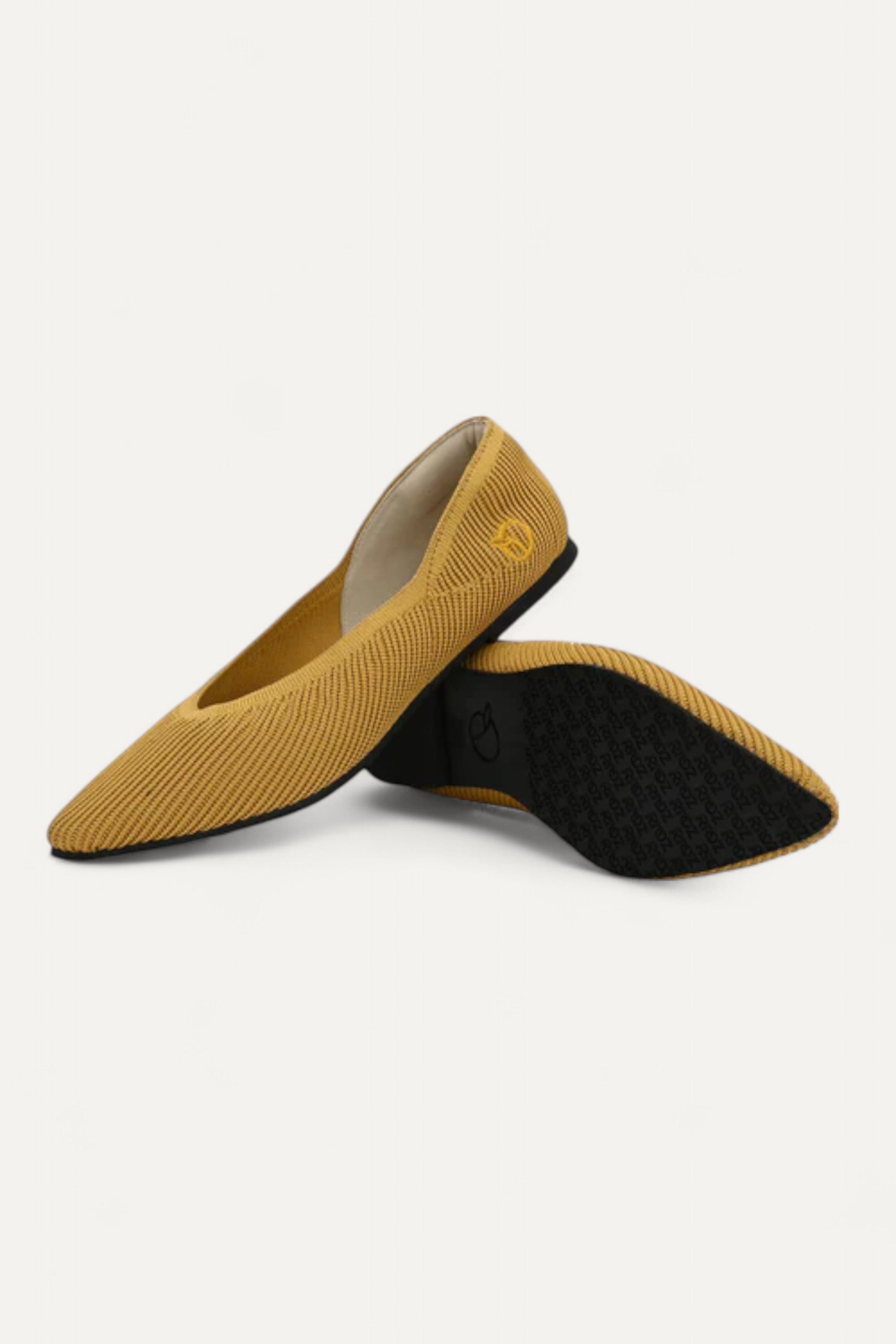 The Pointed Toe- Ballet Flats