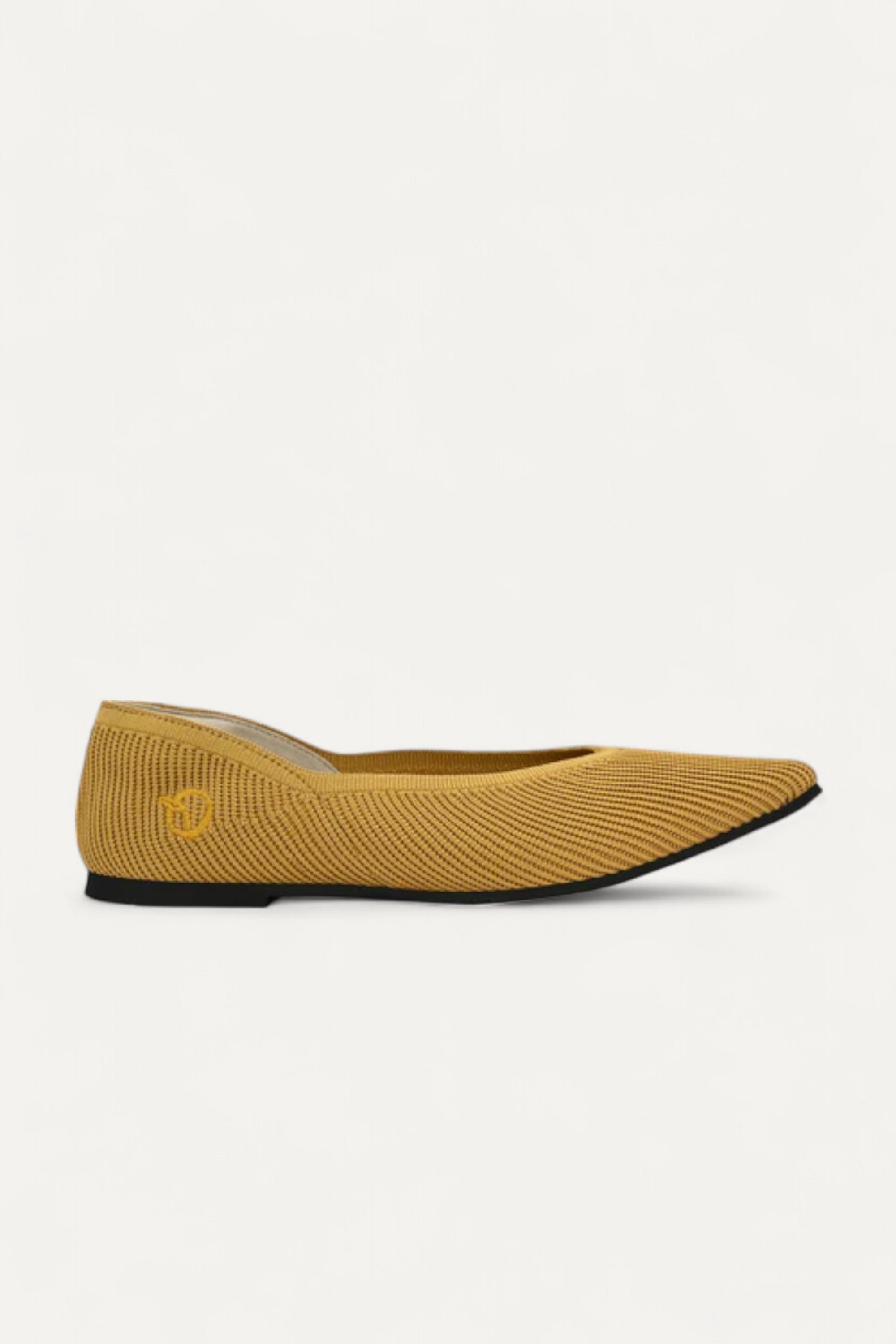The Pointed Toe- Ballet Flats