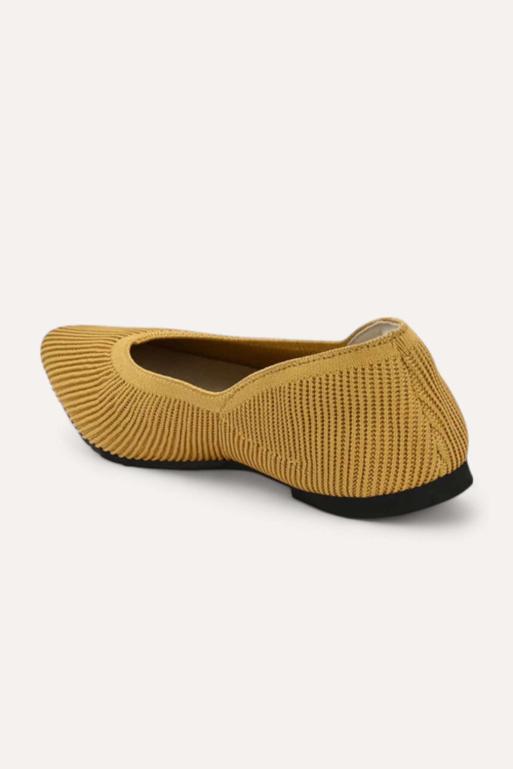 The Pointed Toe- Ballet Flats