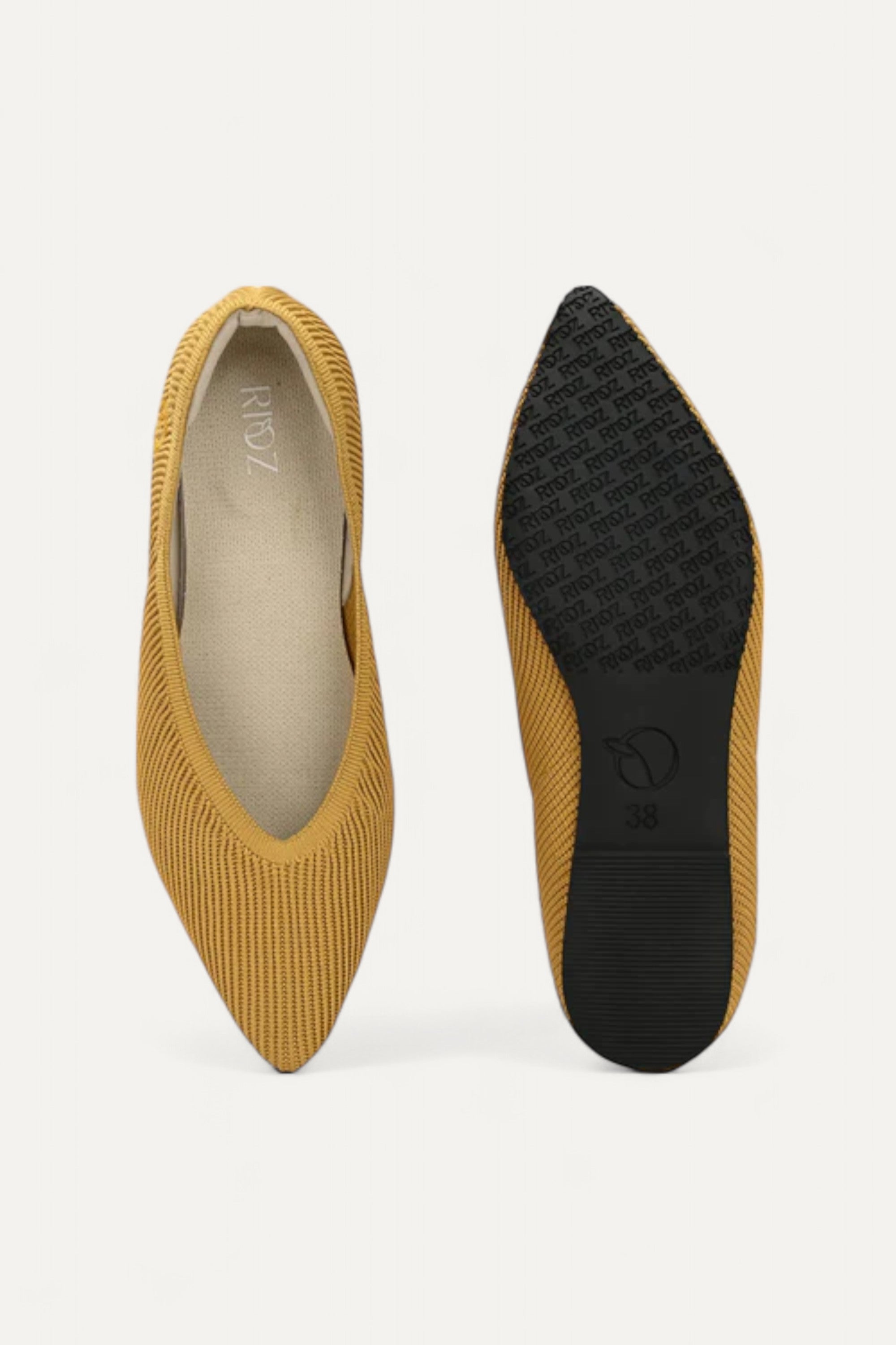 The Pointed Toe- Ballet Flats
