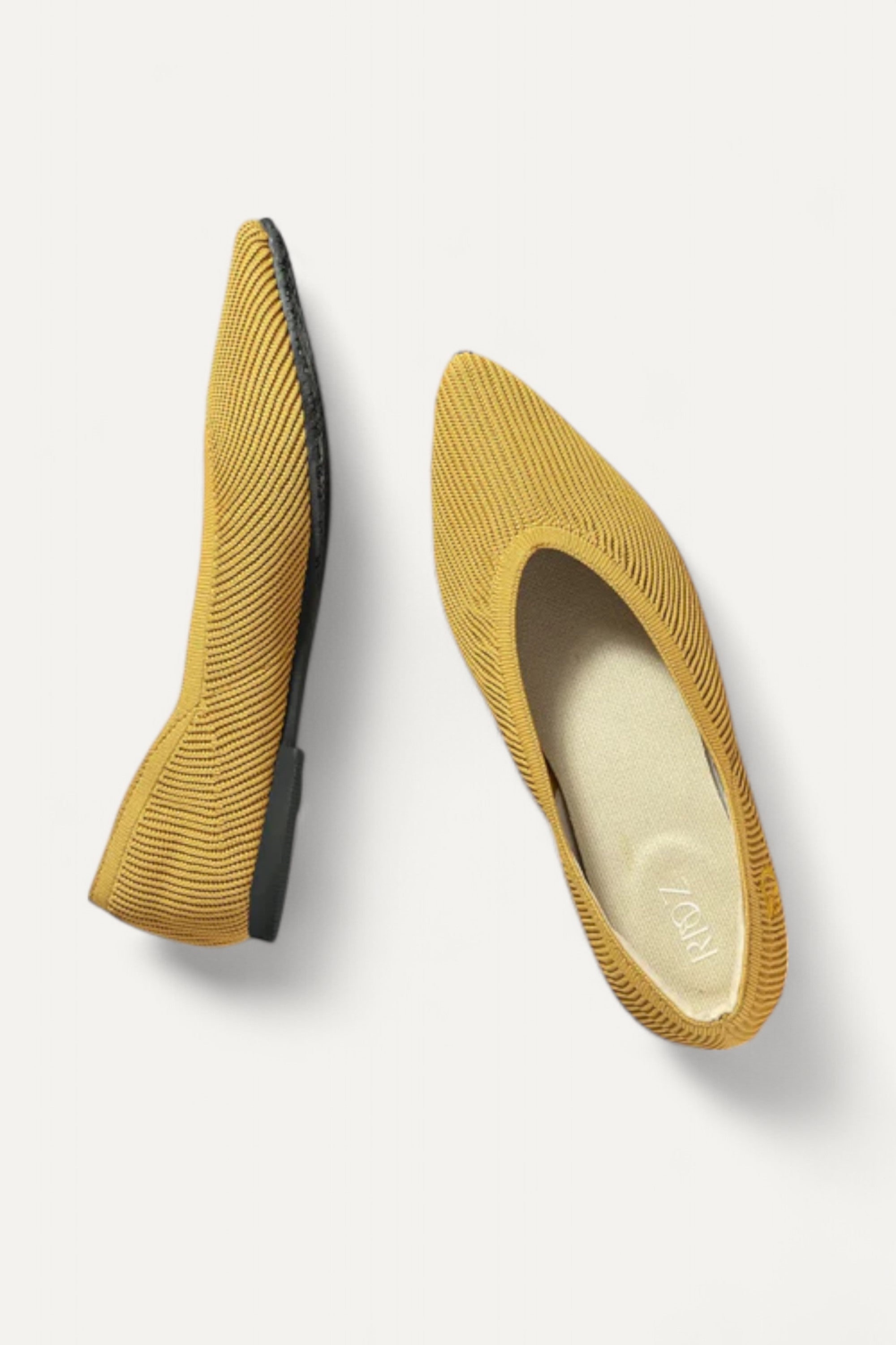 The Pointed Toe- Ballet Flats