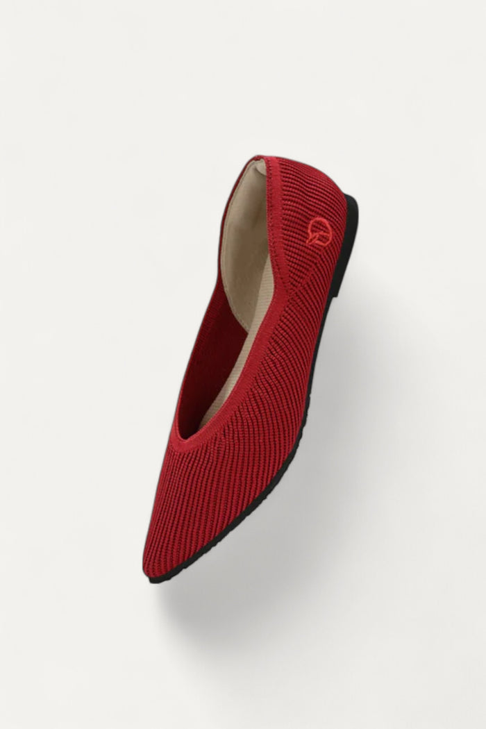 The Pointed Toe- Ballet Flats