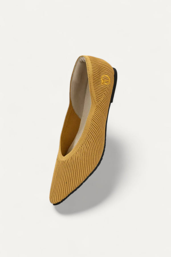 The Pointed Toe- Ballet Flats