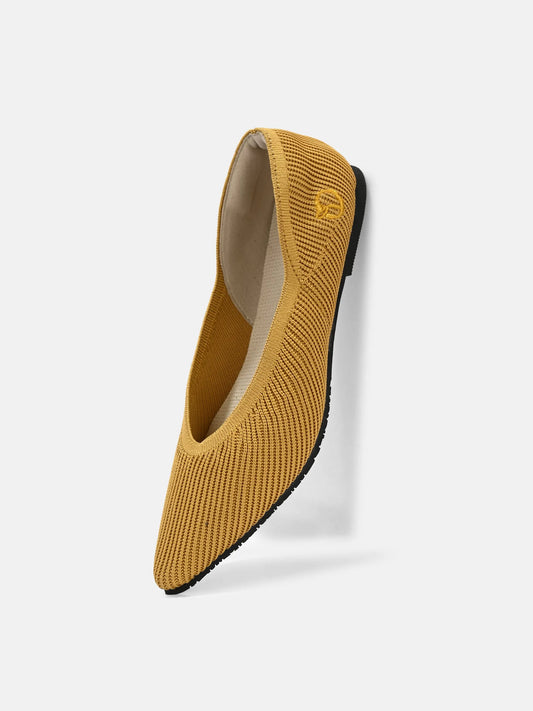 The Pointed Toe- Ballet Flats